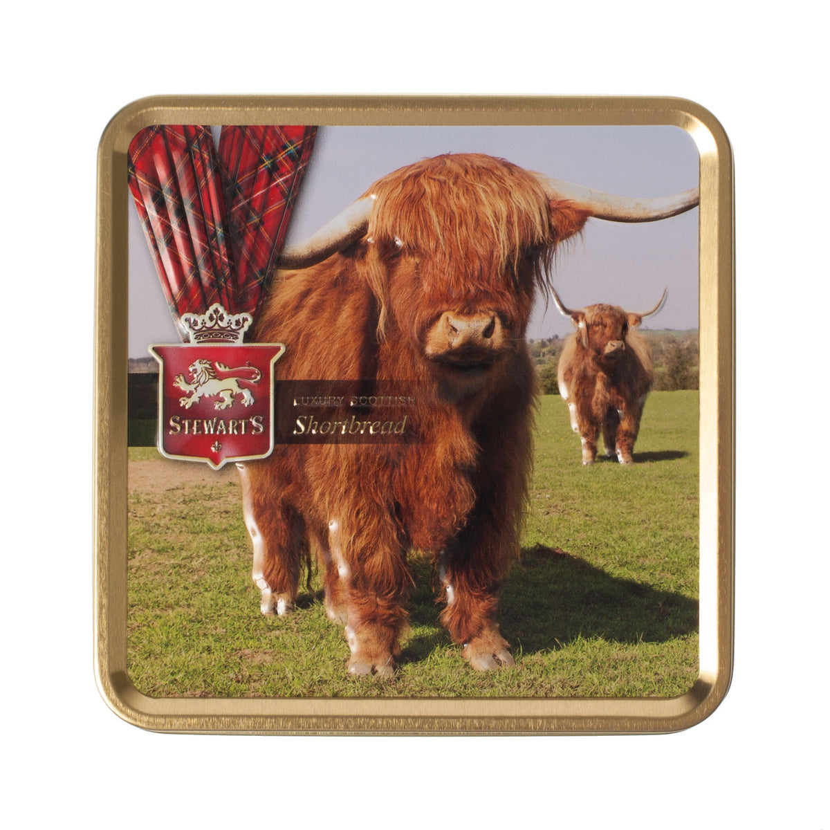 Highland Cow Shortbread The Scotland Shop