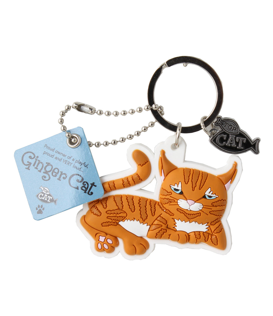 Top Dog/Cat Magnet Ginger Cat (Don't Care)
