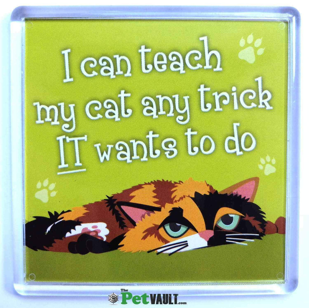 Top Dog/Cat Magnet Calico Cat (Ninja)