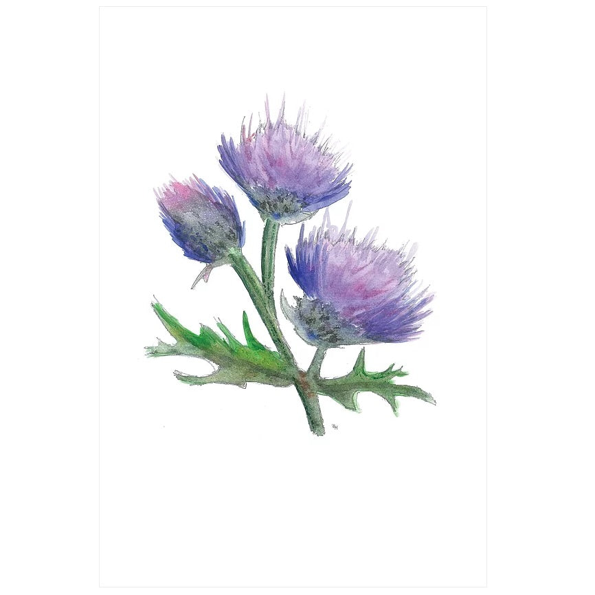 Jaggy Thistle Tea Towel