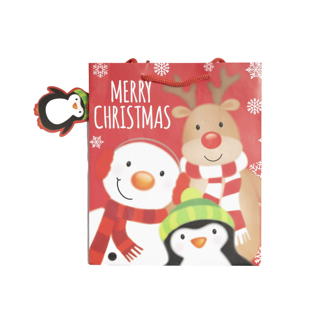 Xmas Gift Bag