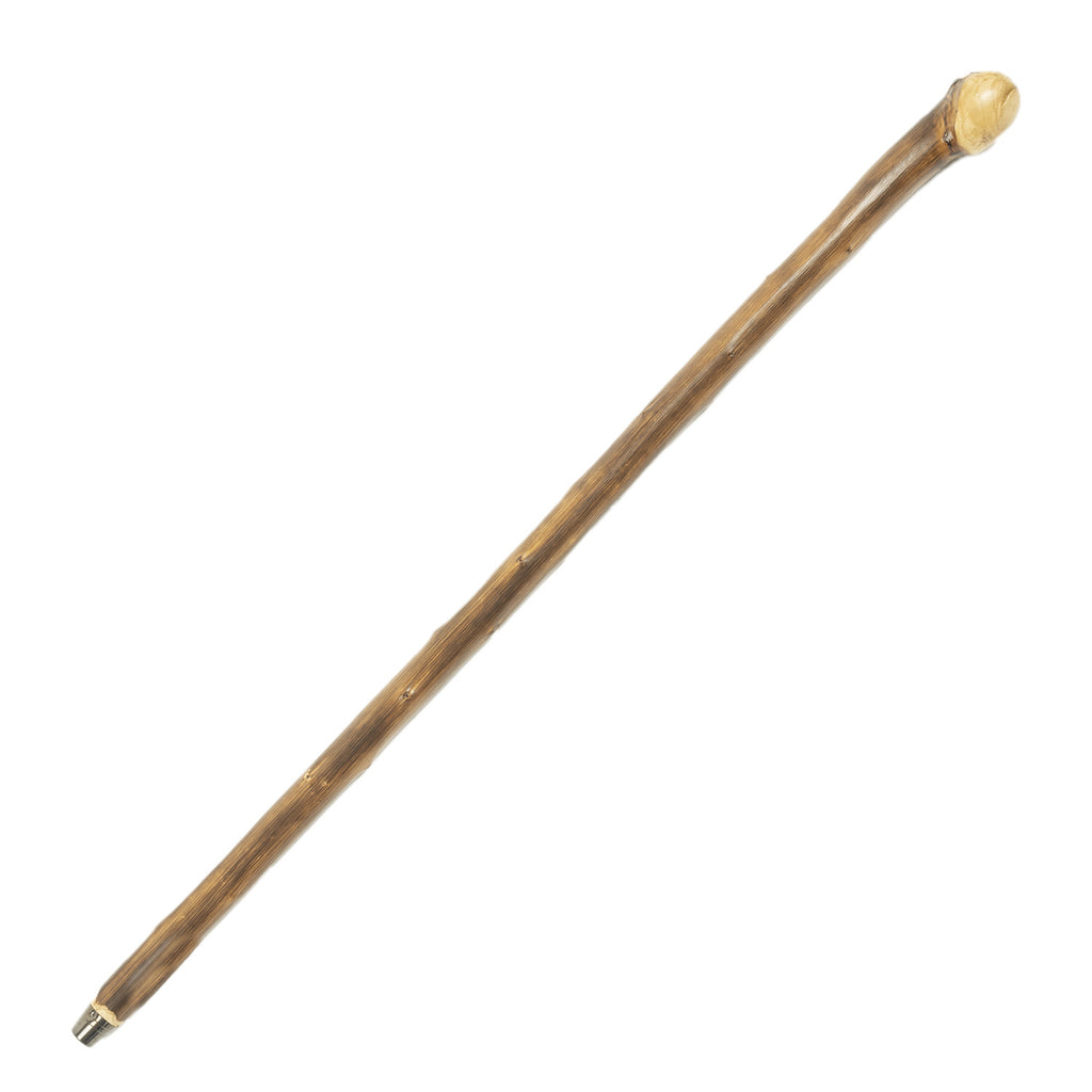 Knob Chestnut - Medium