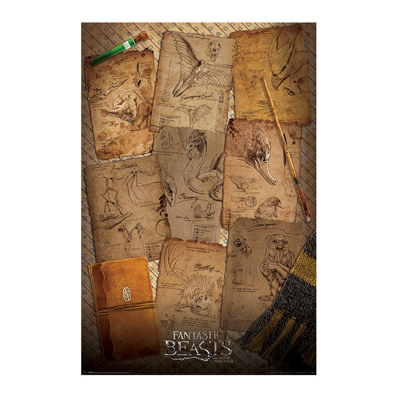 Fantastic Beasts (Notebook Pages) Maxi P