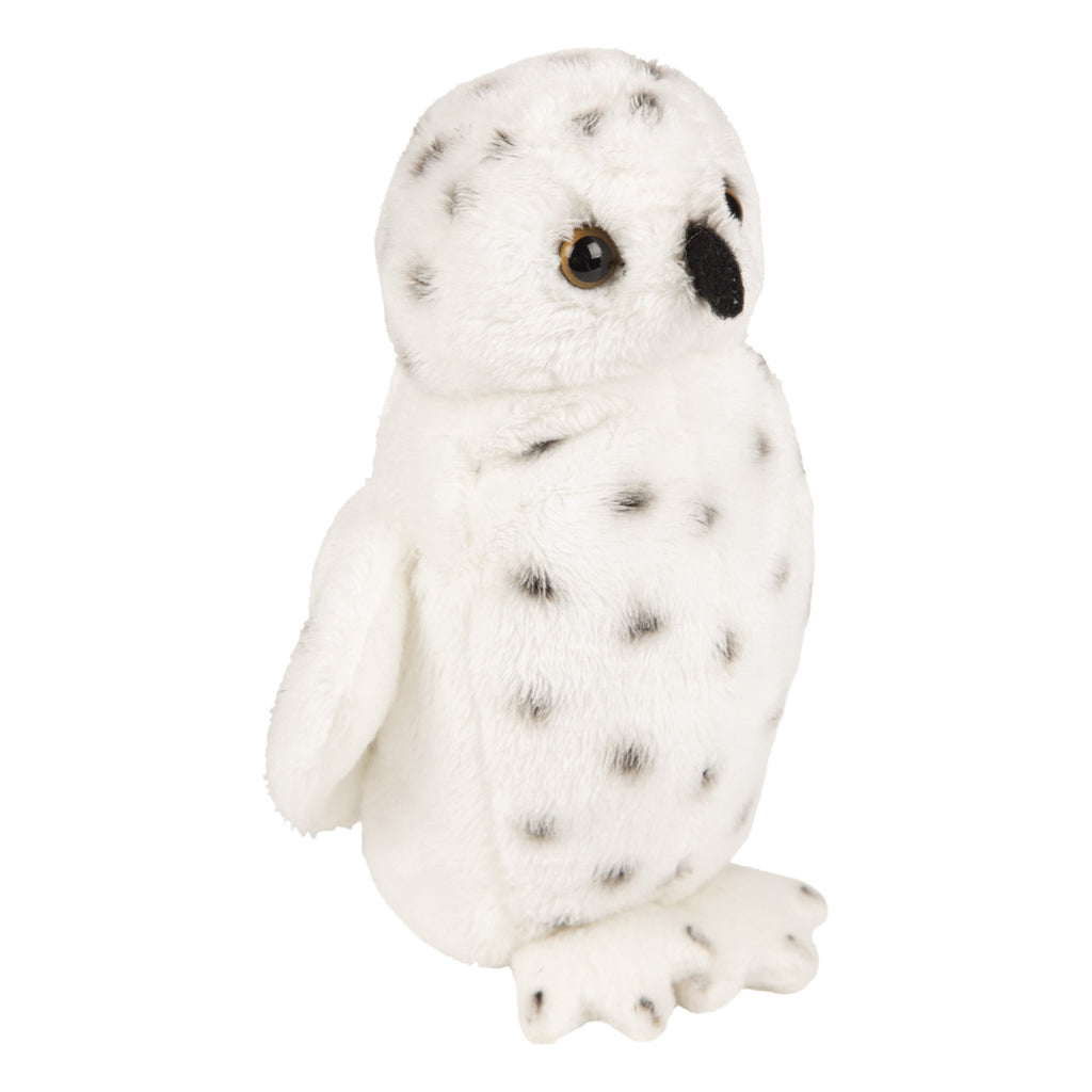 Snowy Owl