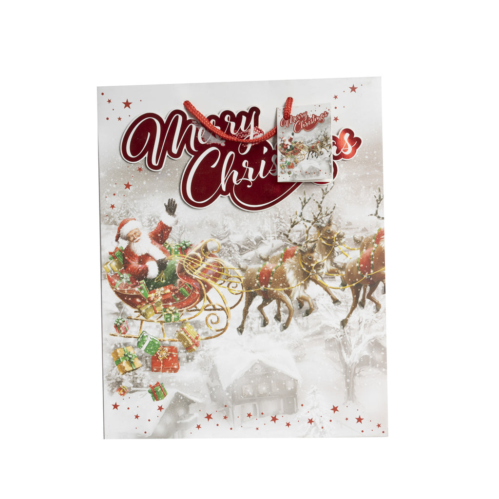 Xmas Gift Bag