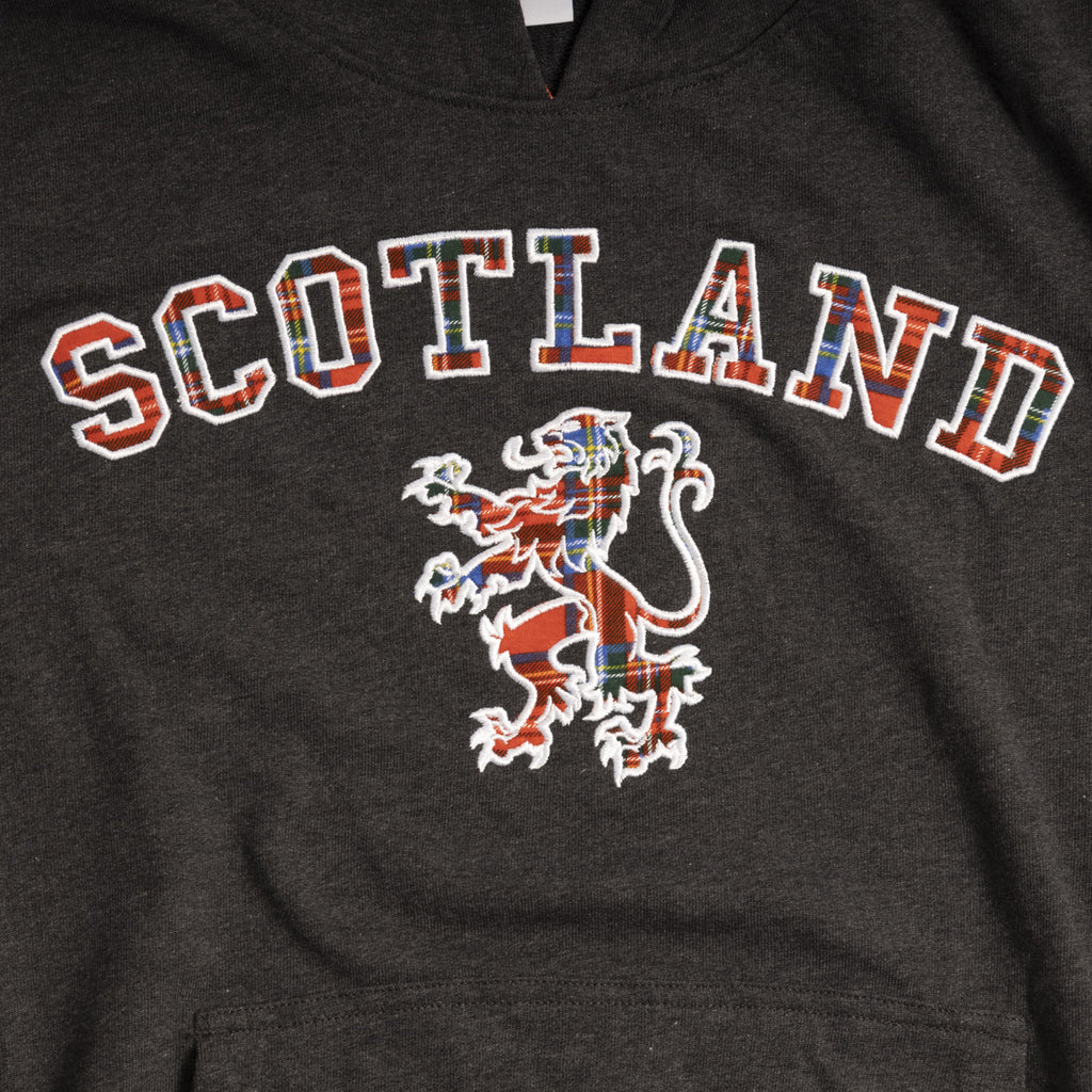 Scotland Tartan Lion Hoodie