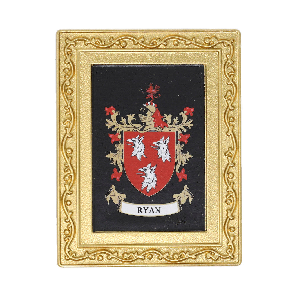Coat Of Arms Fridge Magnet Ryan