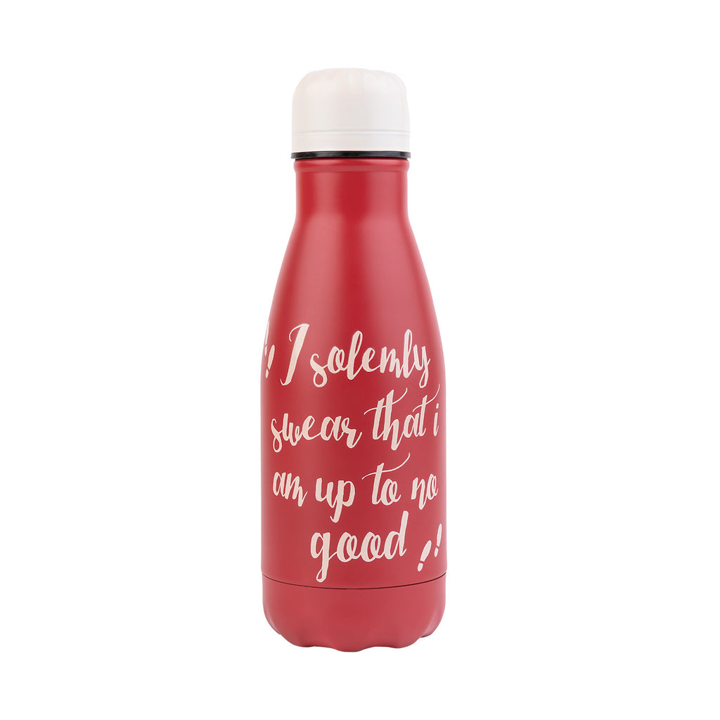 Harry Potter Hot&Cold 260Ml Metal Bottle