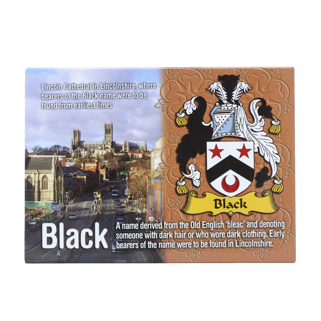 Scenic Metallic Magnet Wales Ni Eng Black
