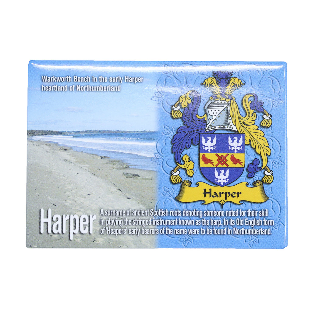 Scenic Metallic Magnet Wales Ni Eng Harper