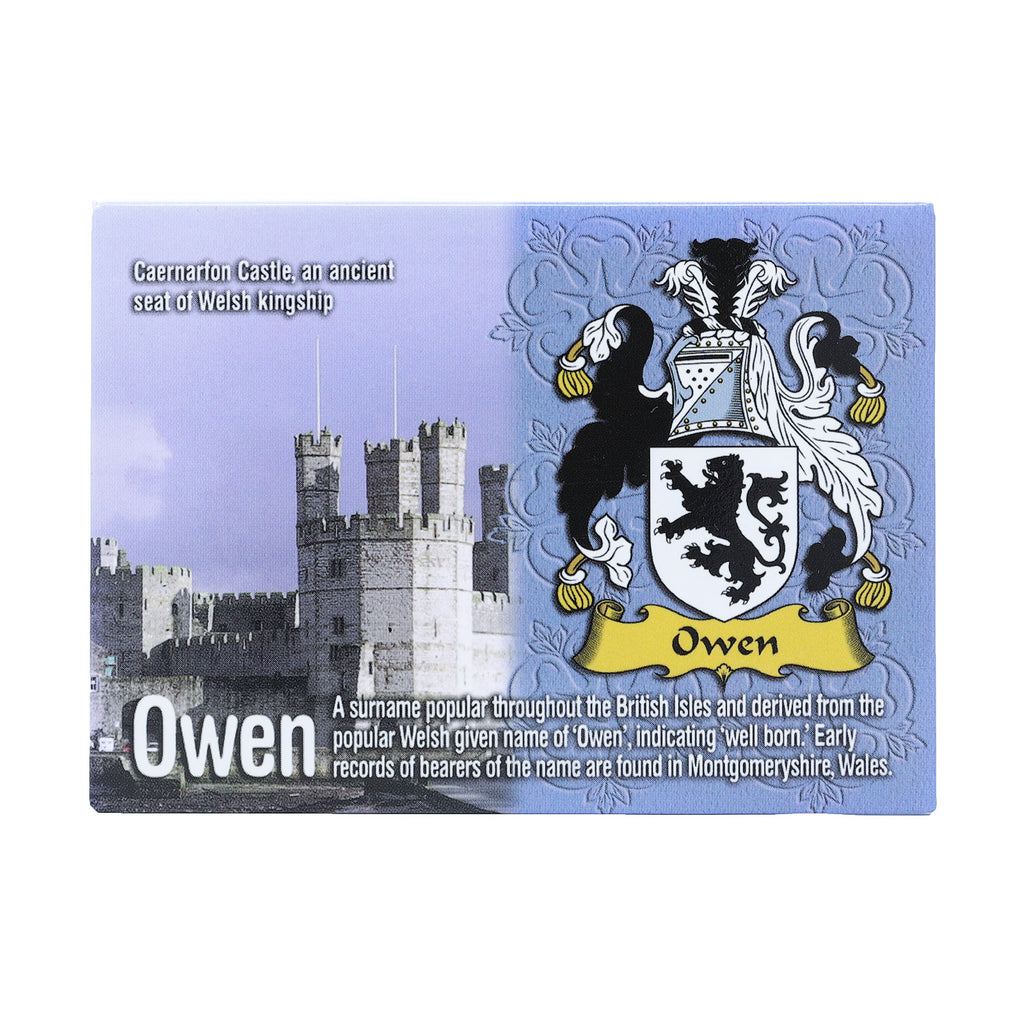 Scenic Metallic Magnet Wales Ni Eng Owen