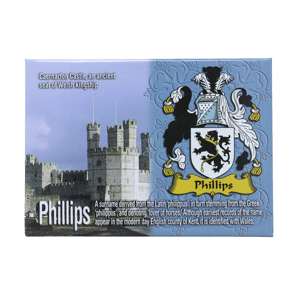 Scenic Metallic Magnet Wales Ni Eng Phillips