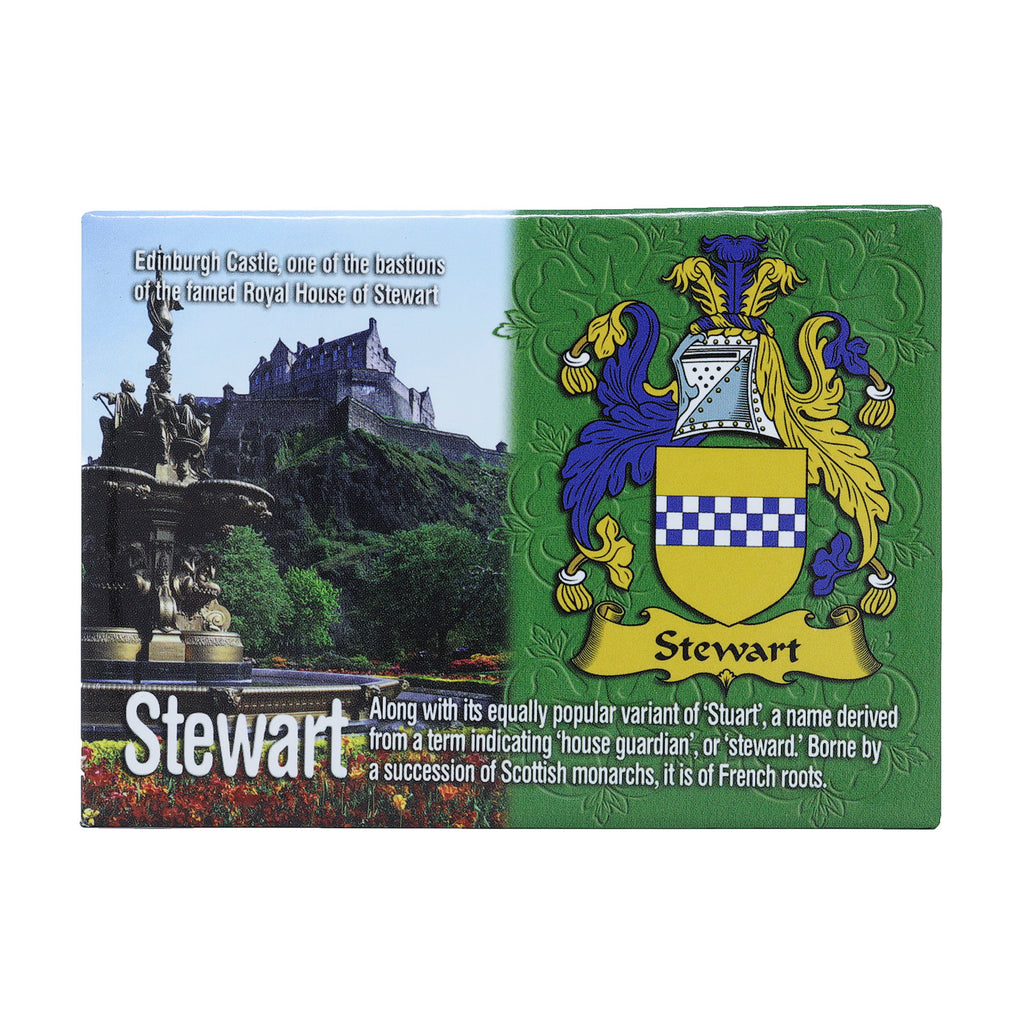 Scenic Metallic Magnet Wales Ni Eng Stewart