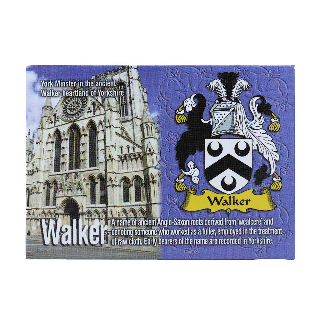Scenic Metallic Magnet Wales Ni Eng Walker