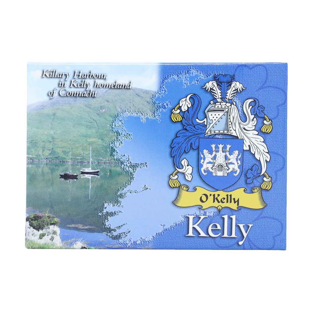Scenic Metallic Magnet Ireland Kelly