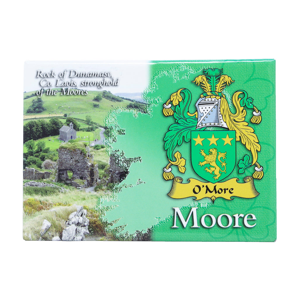 Scenic Metallic Magnet Ireland Moore