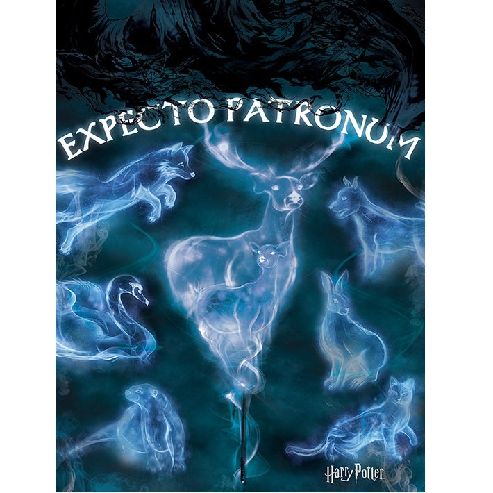 Harry Potter (Patronus) 60X80