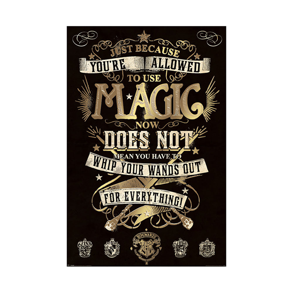 Harry Potter (Magic) Maxi Poster