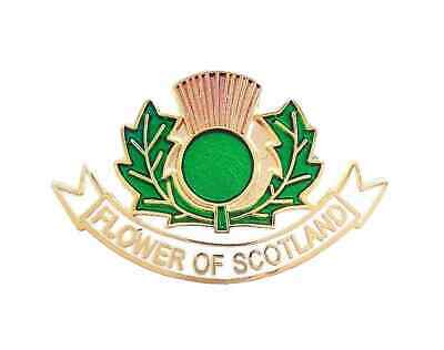 Badge Cut Out Thistle Flower Of Scotland