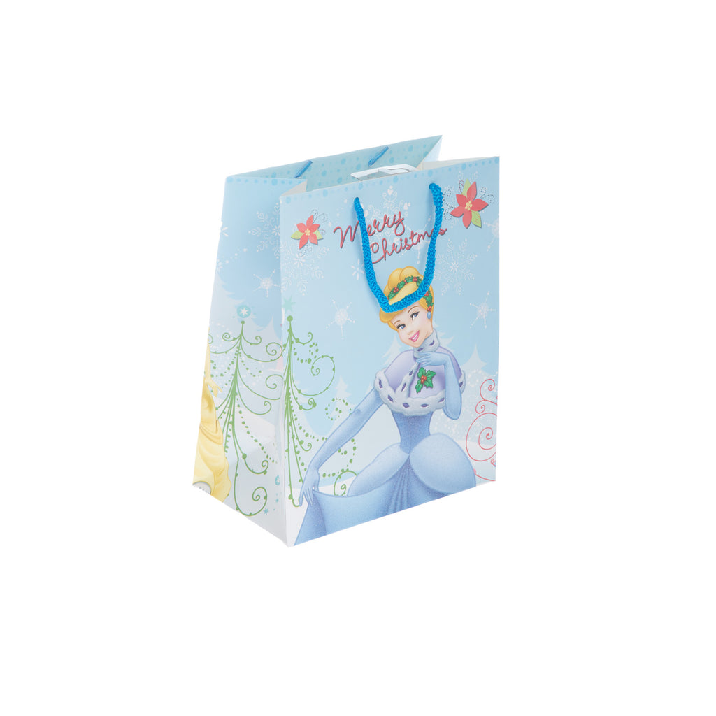 (Sd)Disney Princes Xmas Bag