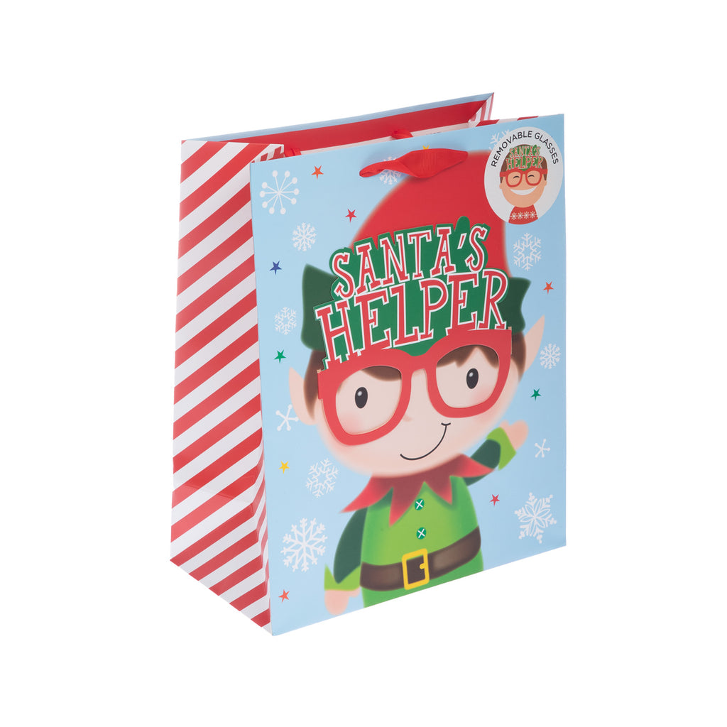 Removable Glasses Lrg Bag